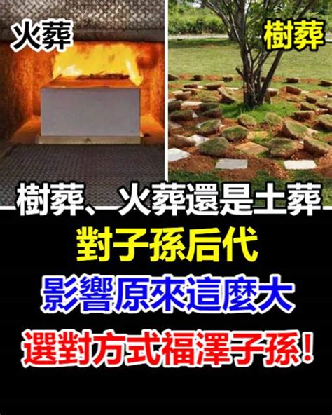 樹葬對子孫|【樹葬對子孫】樹葬會影響子孫運勢？揭開樹葬對後代的禁忌與優。